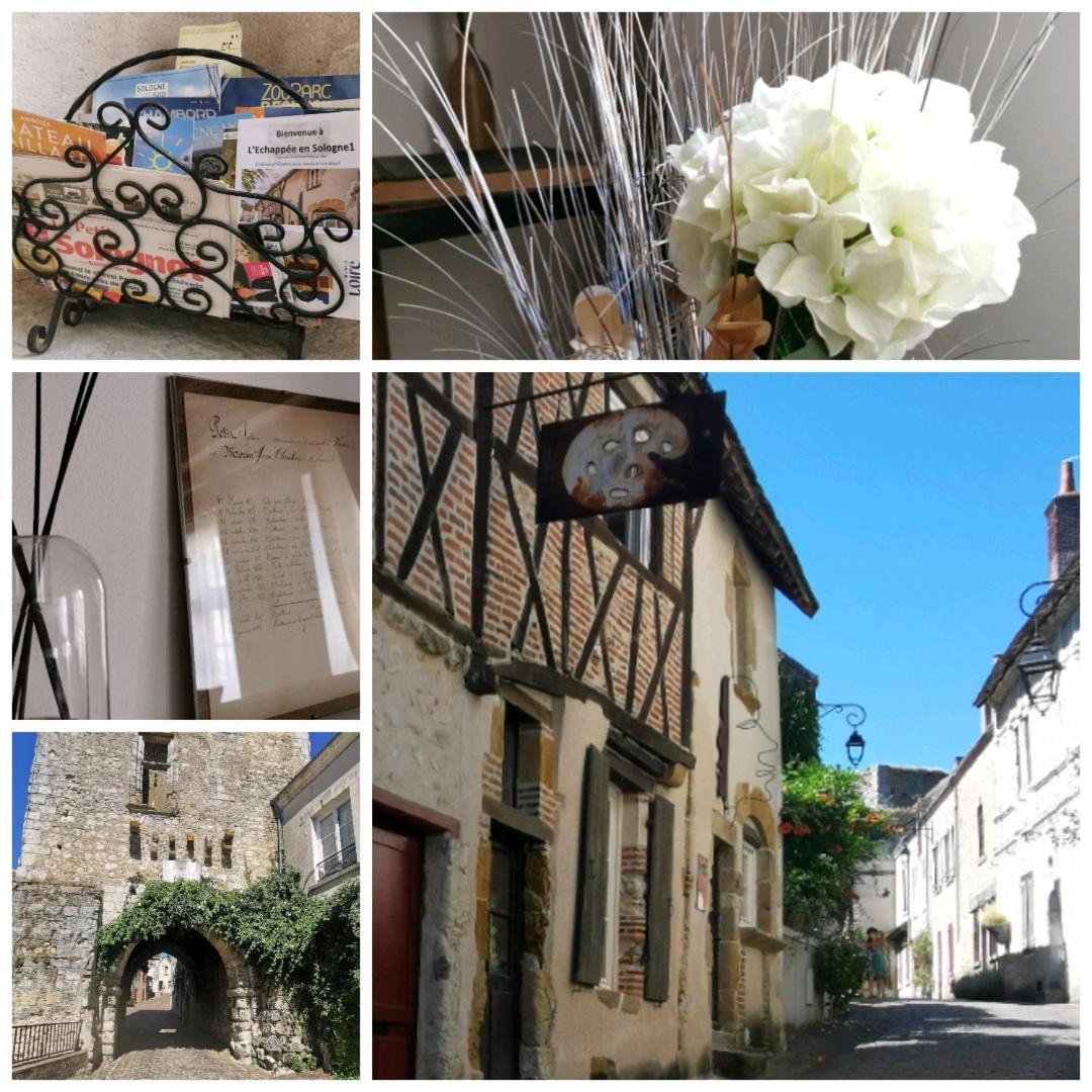 L'Echappee En Sologne Villa Mennetou-sur-Cher Bagian luar foto